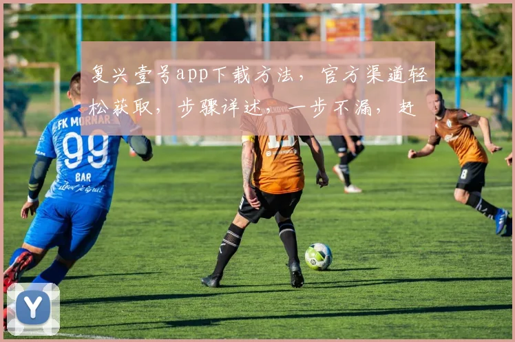 复兴壹号app下载方法，官方渠道轻松获取，步骤详述，一步不漏，赶快尝试逗逗看