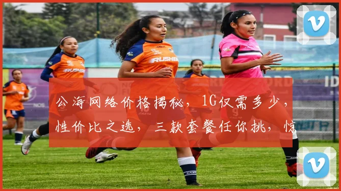 公海网络价格揭秘，1G仅需多少，性价比之选，三款套餐任你挑，惊喜不断